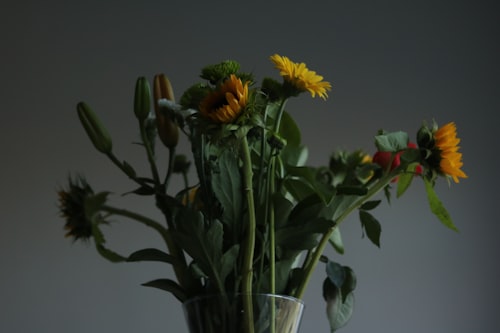 Свежие цветы